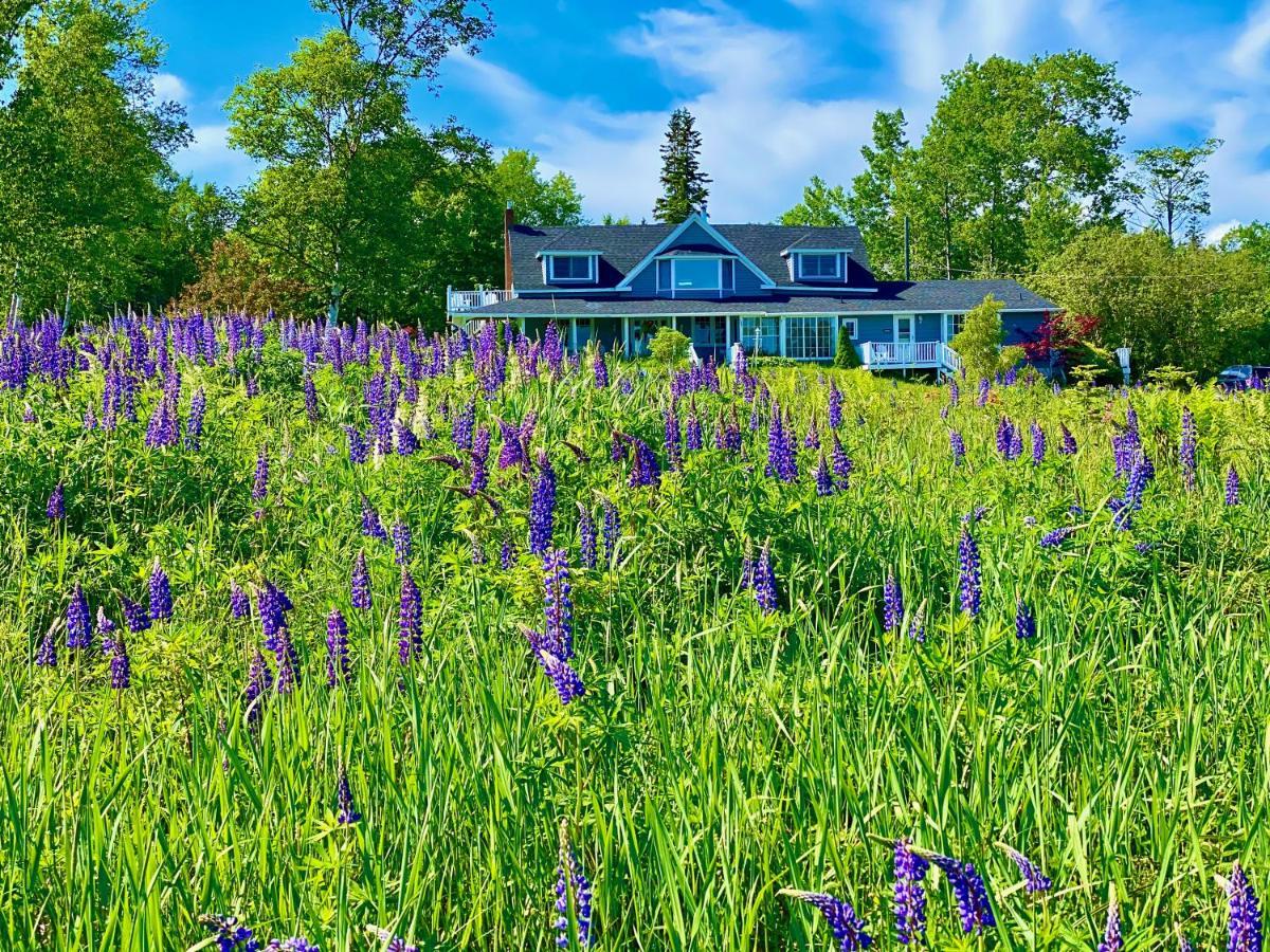 Baddeck Inlet Broadwater Inn & Cottages מראה חיצוני תמונה